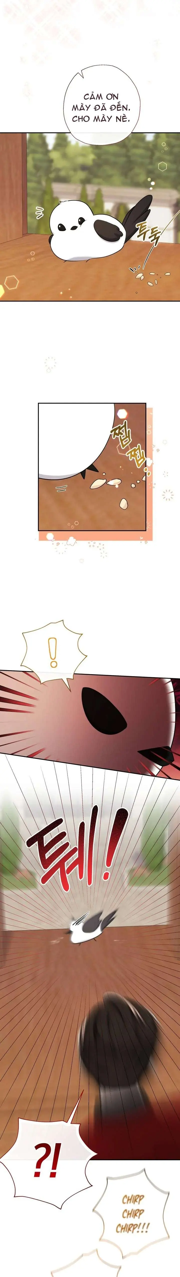 [PNT] Tiểu Thư Tích Tiền Đi Bụi Chapter 54 - Trang 14