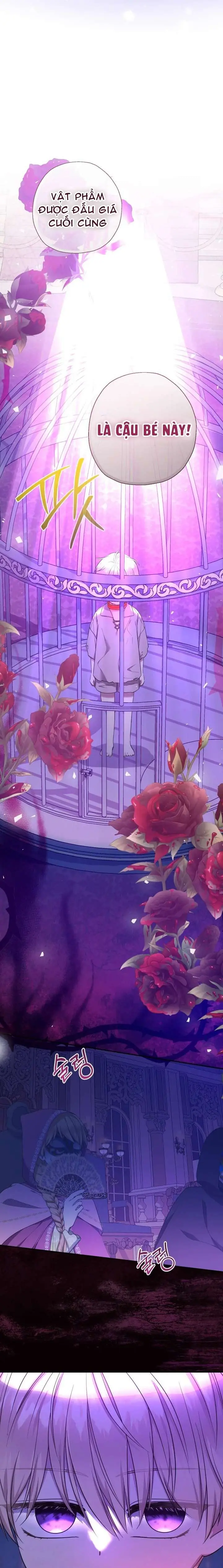 [PNT] Tiểu Thư Tích Tiền Đi Bụi Chapter 56 - Trang 12