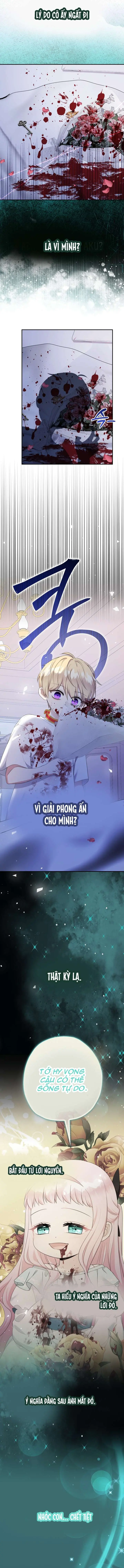 [PNT] Tiểu Thư Tích Tiền Đi Bụi Chapter 67 - Trang 10