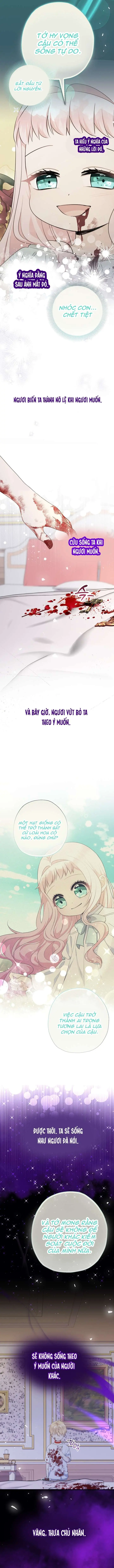 [PNT] Tiểu Thư Tích Tiền Đi Bụi Chapter 67 - Trang 11