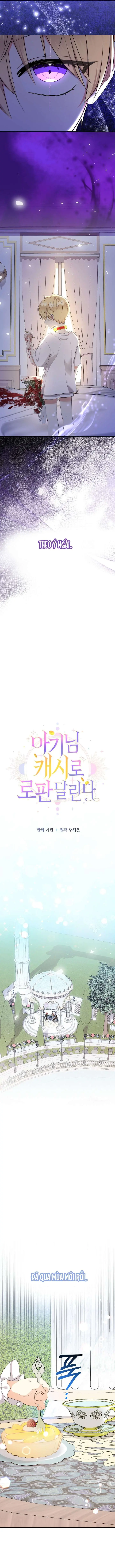 [PNT] Tiểu Thư Tích Tiền Đi Bụi Chapter 67 - Trang 12