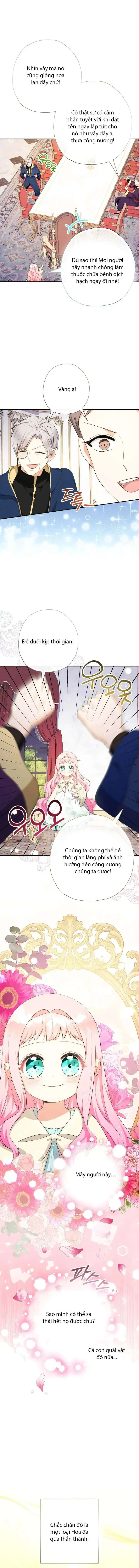 [PNT] Tiểu Thư Tích Tiền Đi Bụi Chapter 81 - Trang 8