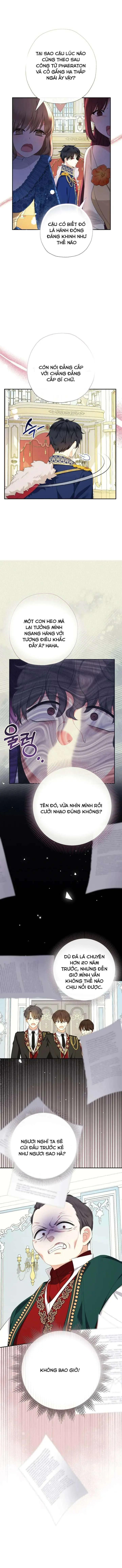 [PNT] Tiểu Thư Tích Tiền Đi Bụi Chapter 82 - Trang 3