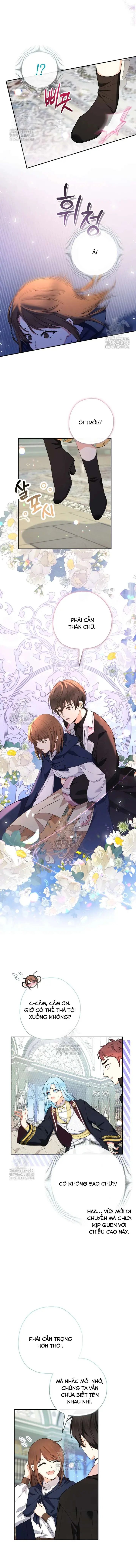 [PNT] Tiểu Thư Tích Tiền Đi Bụi Chapter 95 - Trang 10