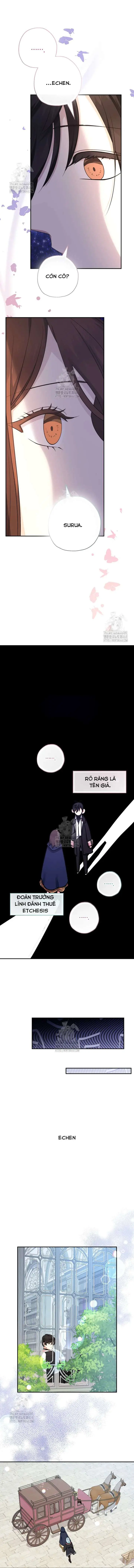 [PNT] Tiểu Thư Tích Tiền Đi Bụi Chapter 95 - Trang 11