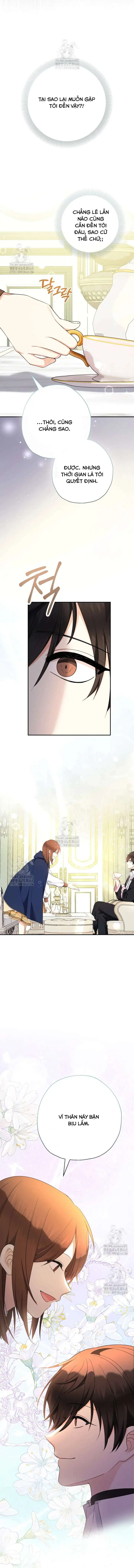 [PNT] Tiểu Thư Tích Tiền Đi Bụi Chapter 95 - Trang 7