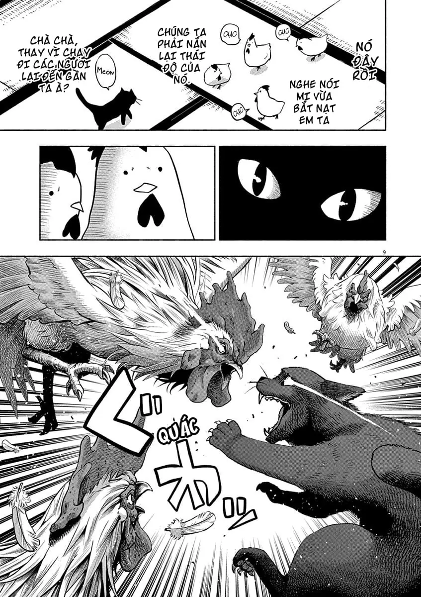 Ponkotsu Ponko Chapter 49 - Trang 12
