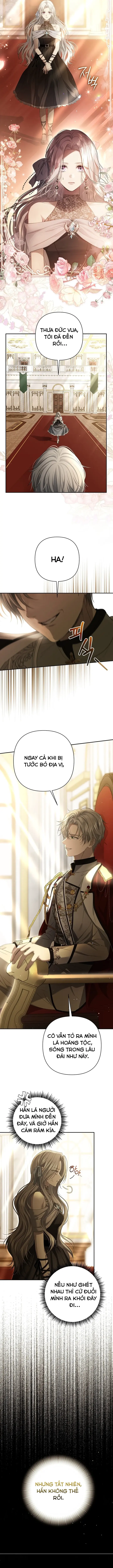Presepe Bên Ngoài Chiếc Lồng Chapter 2 - Trang 5