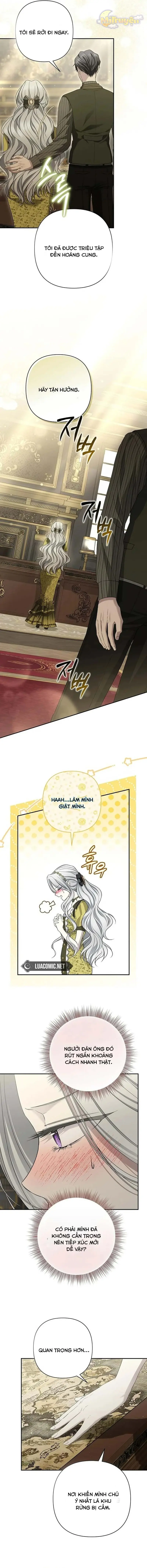 Presepe Bên Ngoài Chiếc Lồng Chapter 21 - Trang 17