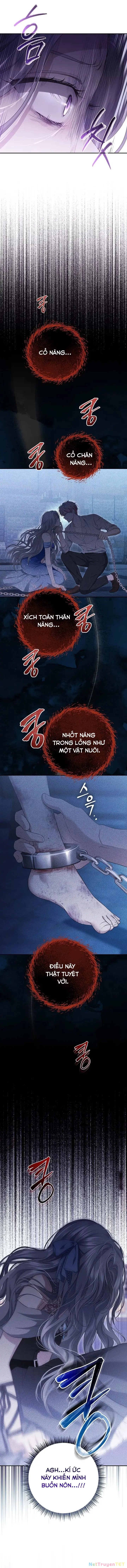 Presepe Bên Ngoài Chiếc Lồng Chapter 3 - Trang 15