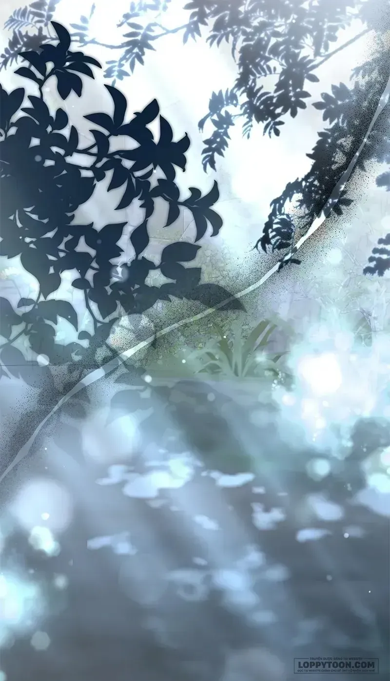 Presepe Bên Ngoài Chiếc Lồng Chapter 35 - Trang 3