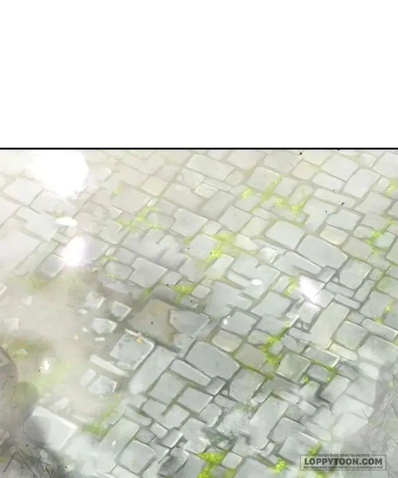 Presepe Bên Ngoài Chiếc Lồng Chapter 48 - Trang 50