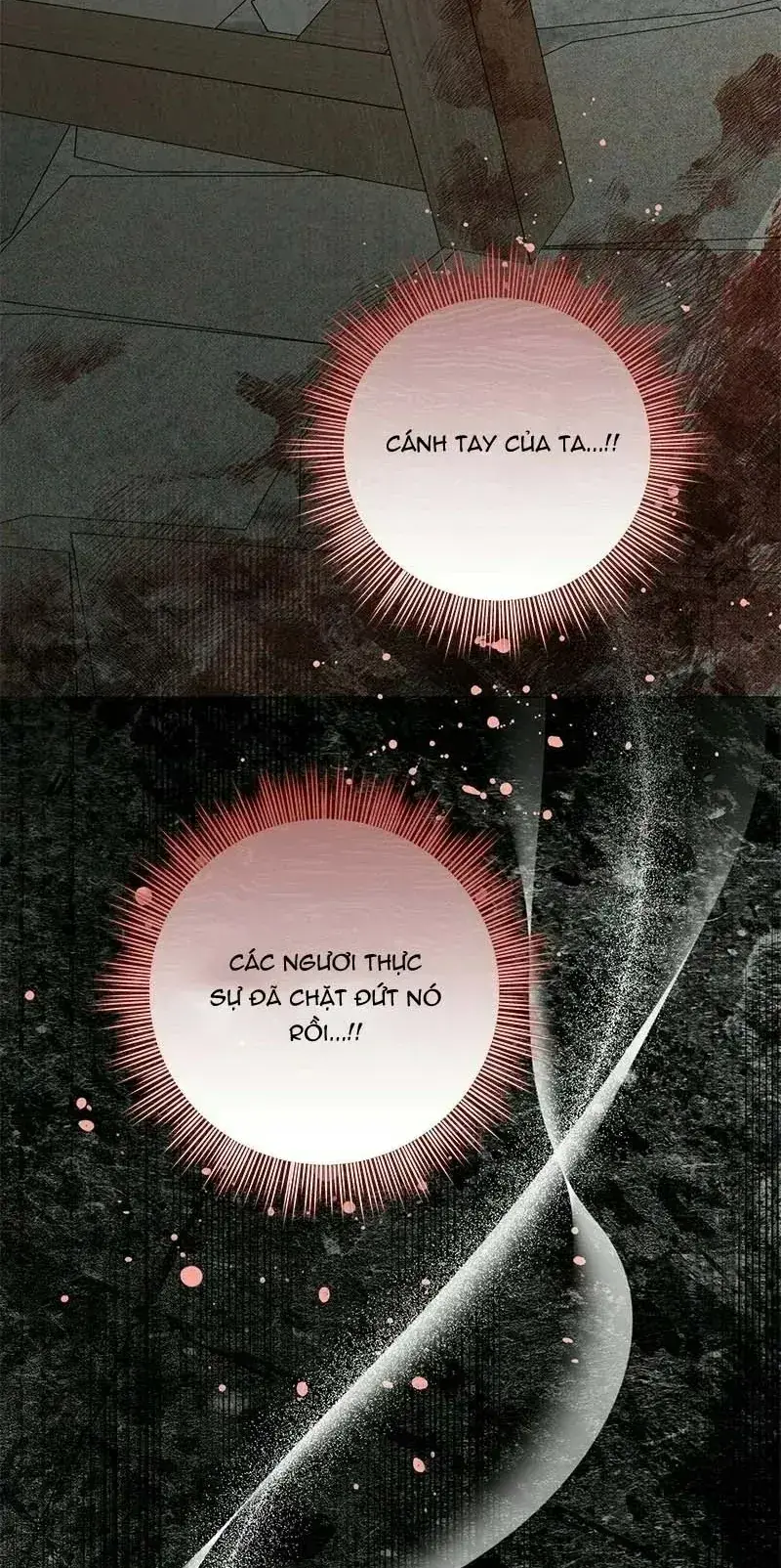 Presepe Bên Ngoài Chiếc Lồng Chapter 48 - Trang 8