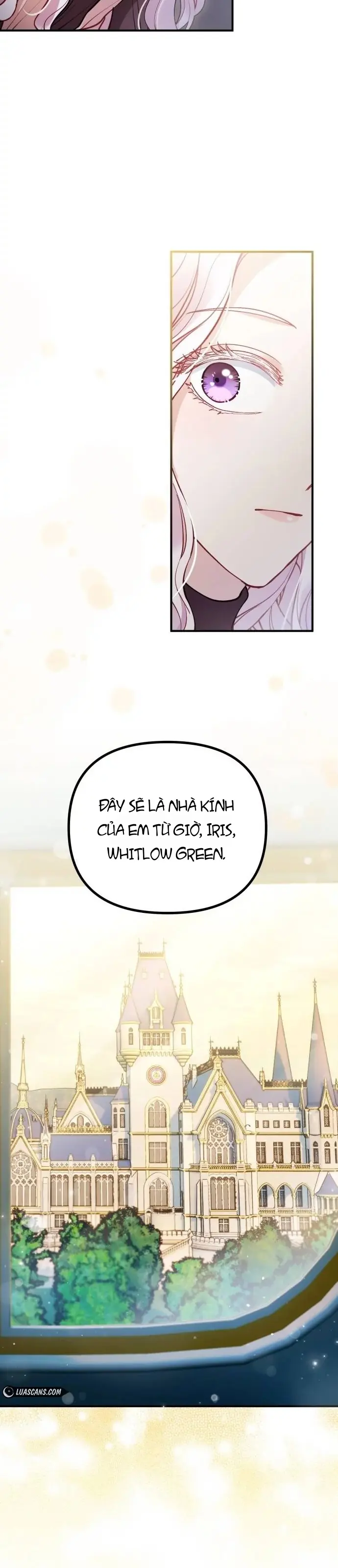Quái Thú Bị Nuốt Chửng Bởi Một Bông Hoa Chapter 3 - Trang 8