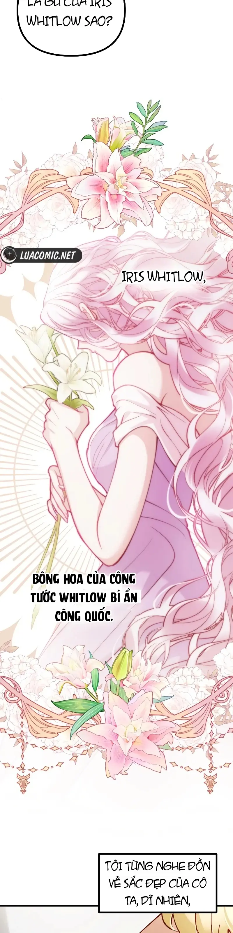 Quái Thú Bị Nuốt Chửng Bởi Một Bông Hoa Chapter 33 - Trang 28