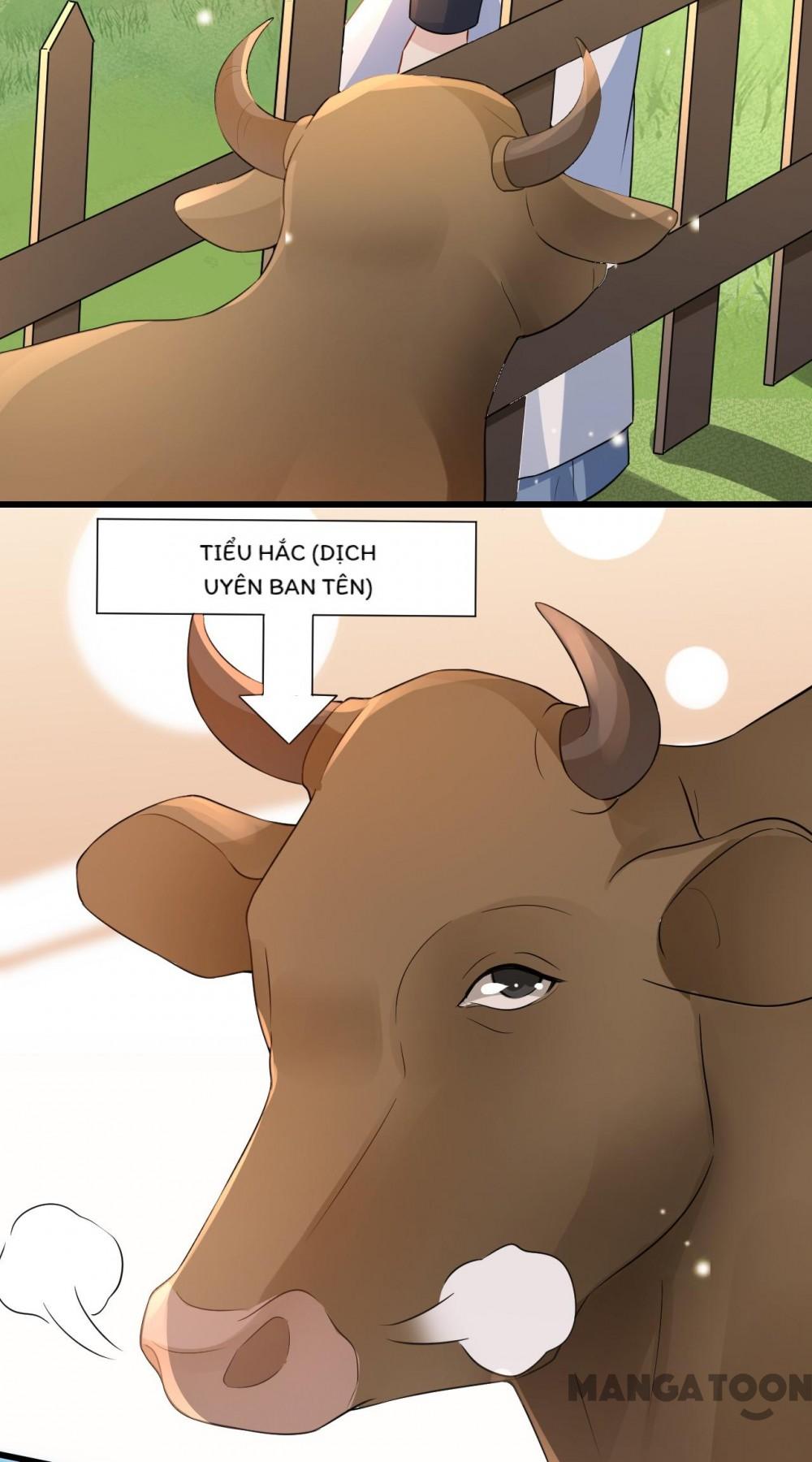 Quận Chúa Cẩn Thận, Đã Định Rồi Khó Đổi Lắm! Chapter 158 - Trang 11