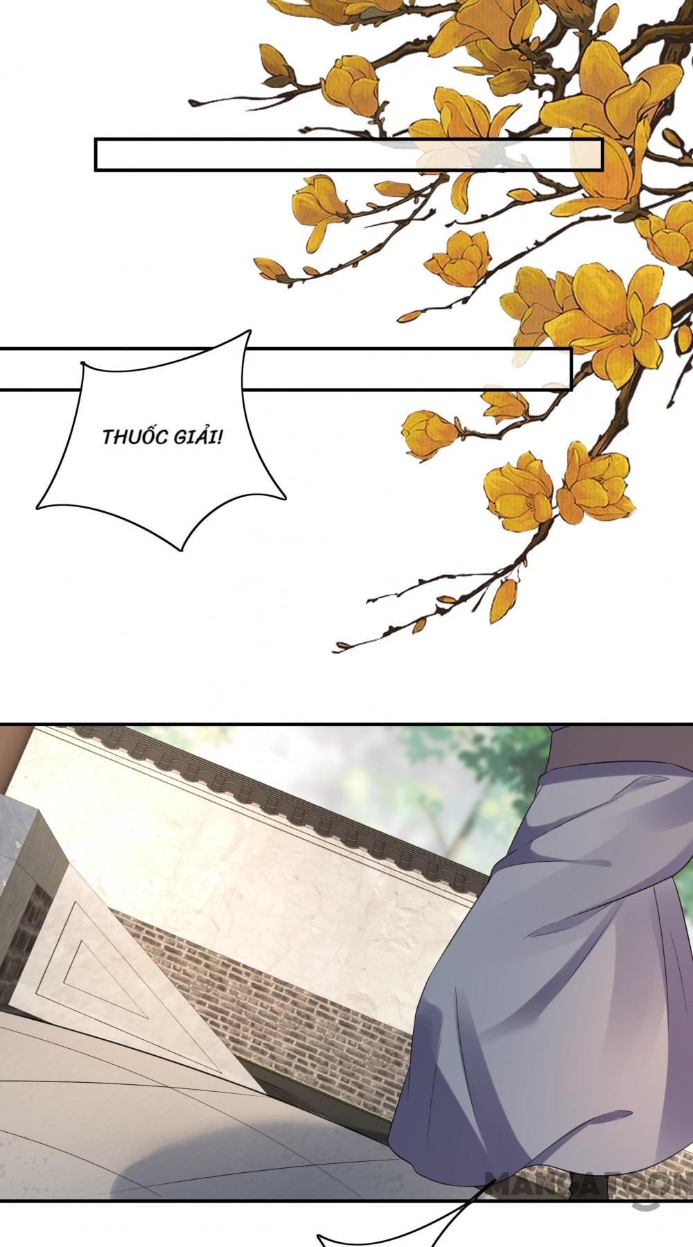 Quận Chúa Cẩn Thận, Đã Định Rồi Khó Đổi Lắm! Chapter 178 - Trang 5
