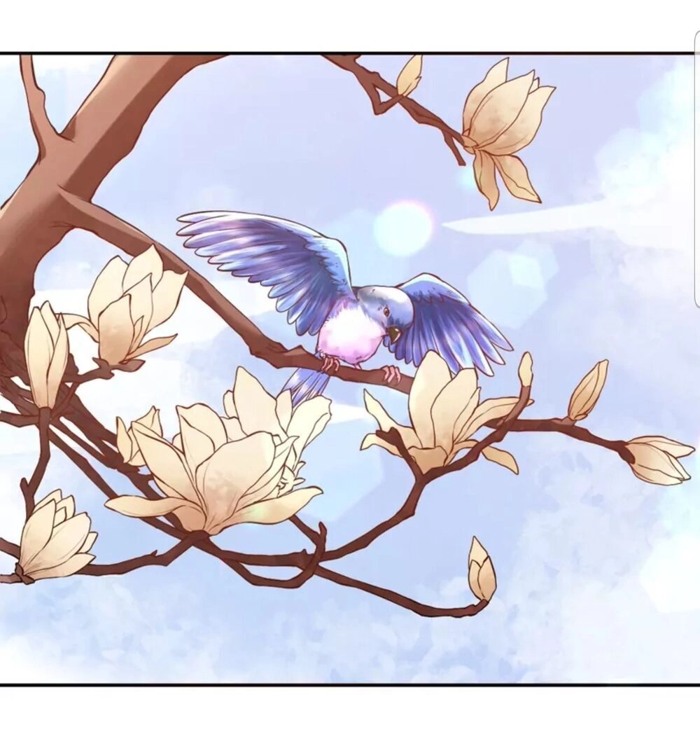 Quận Chúa Cẩn Thận, Đã Định Rồi Khó Đổi Lắm! Chapter 2 - Trang 47