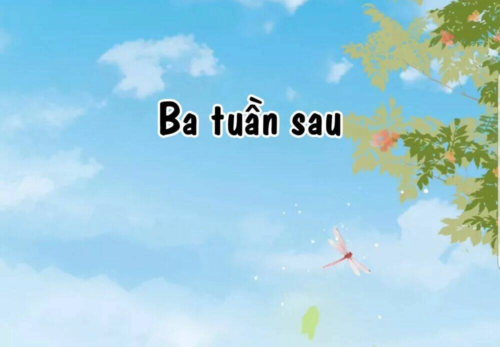 Quận Chúa Cẩn Thận, Đã Định Rồi Khó Đổi Lắm! Chapter 20.5 - Trang 16