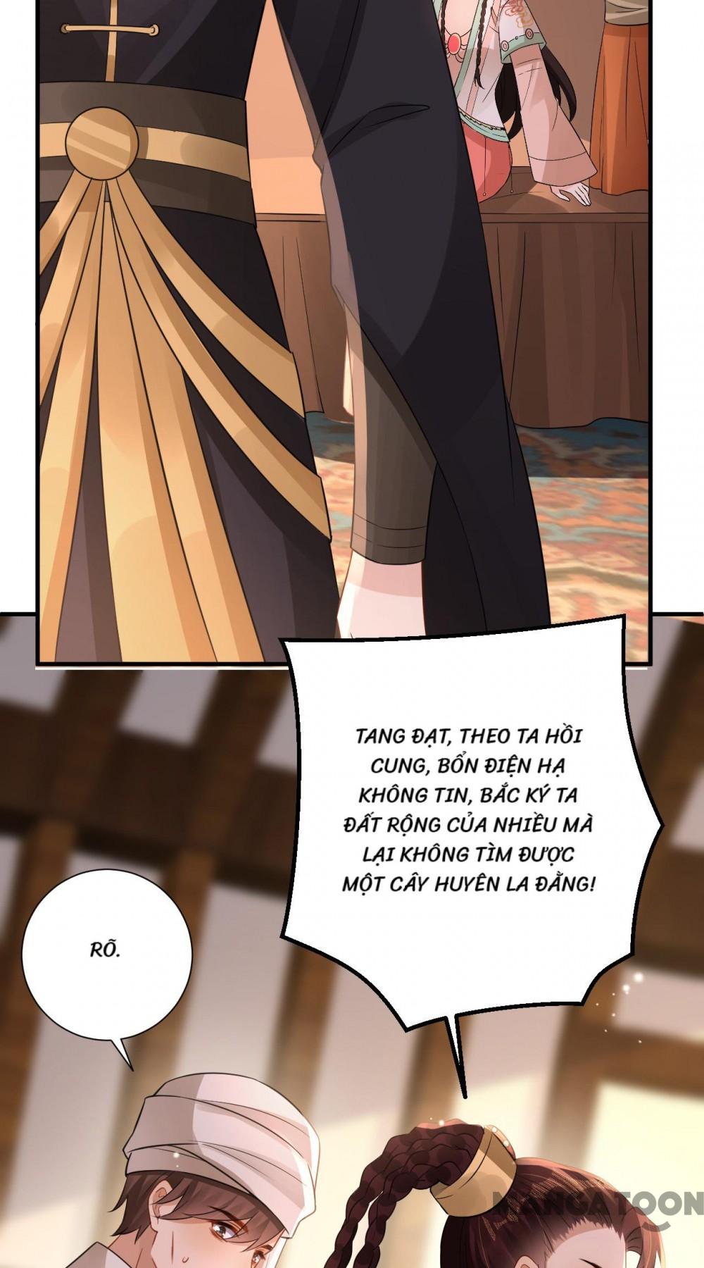 Quận Chúa Cẩn Thận, Đã Định Rồi Khó Đổi Lắm! Chapter 211 - Trang 19