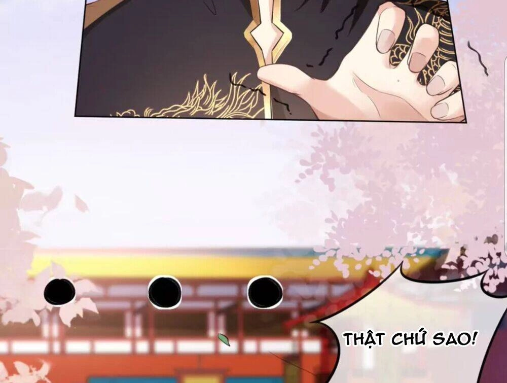 Quận Chúa Cẩn Thận, Đã Định Rồi Khó Đổi Lắm! Chapter 25.5 - Trang 9