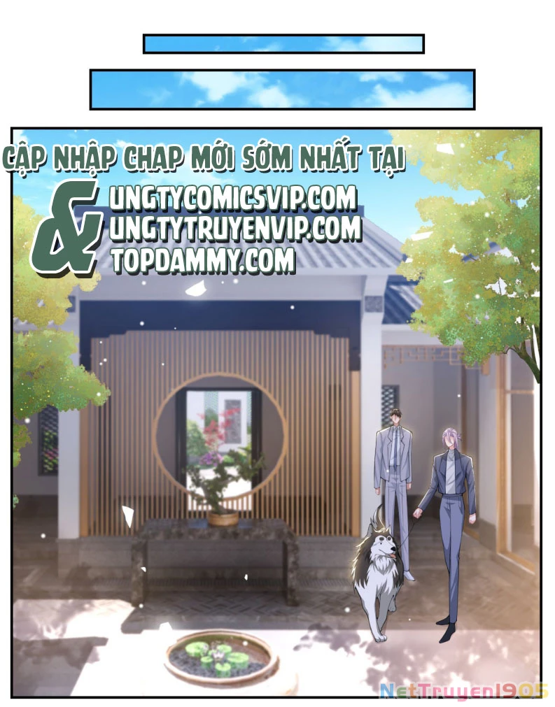 Quan Hệ Thế Thân Chapter 146 - Trang 14