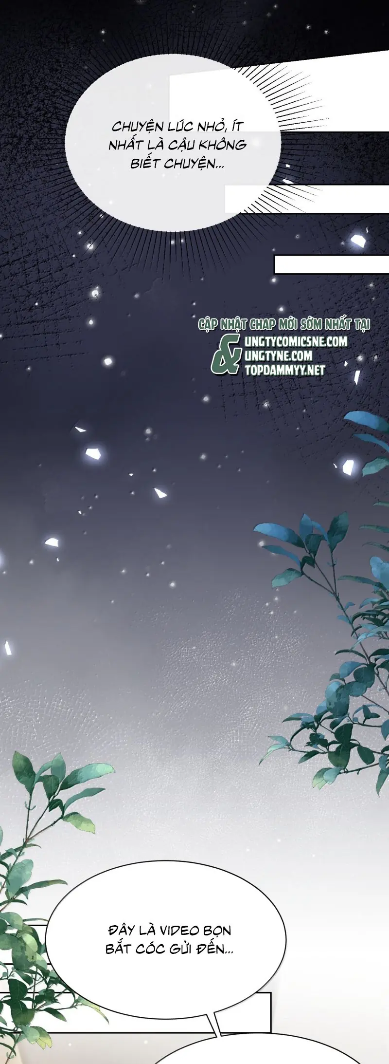 Quan Hệ Thế Thân Chapter 203 - Trang 15