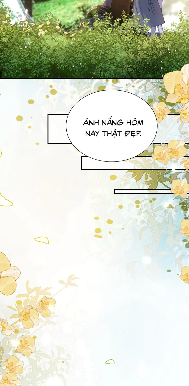 Quan Hệ Thế Thân Chapter 240 - Trang 5
