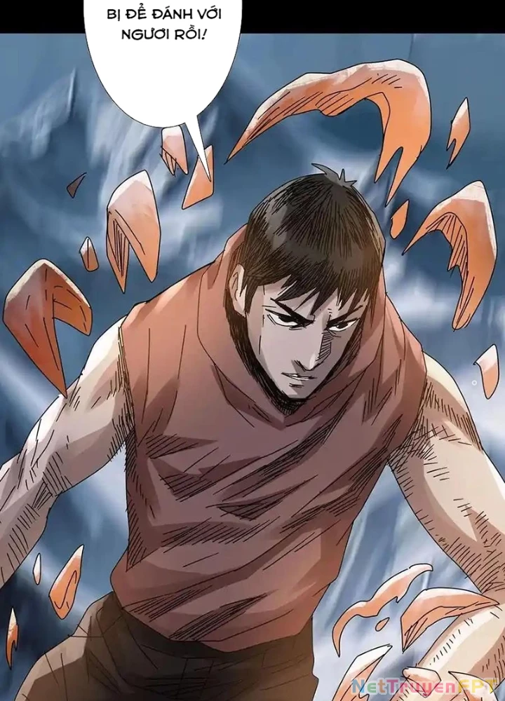Quay Đầu Là Bờ Chapter 235 - Trang 23