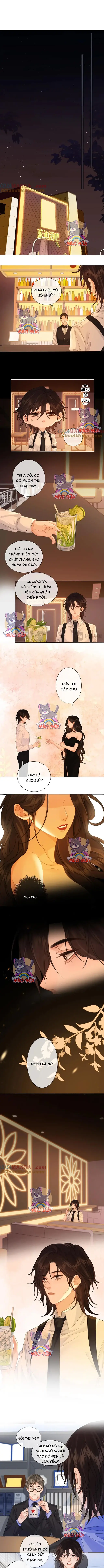 Quý Cô Pháp Y Thân Yêu Của Tôi! - Mèo Sữa Chapter 36 - Trang 3