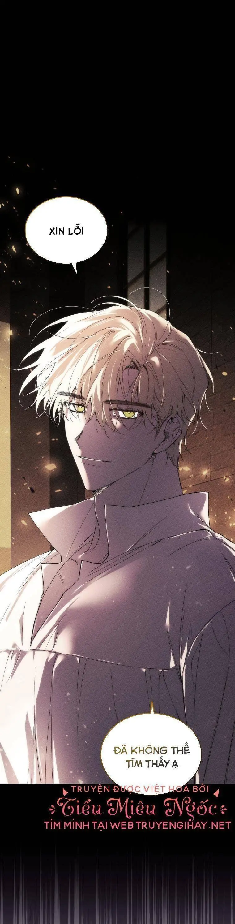 Quý Cô Trở Lại Chapter 33 - Trang 17