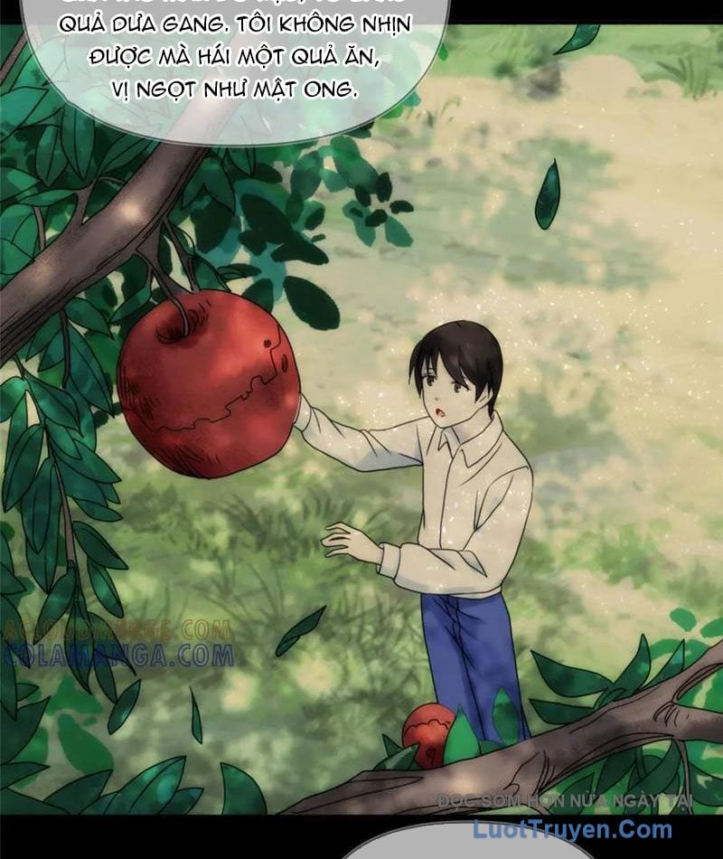 Quỷ Thần Trủng Chapter 36 - Trang 19