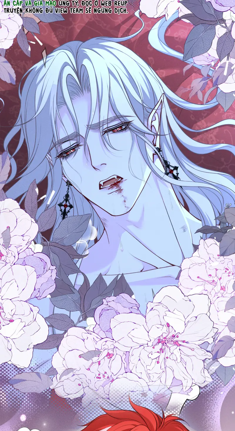 Quyền Hạn Cắn Xé Chapter 11 - Trang 8