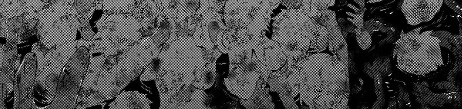 Roll Over and Die - Cùng Thanh Kiếm Nguyền Rủa Chapter 18 - Trang 16