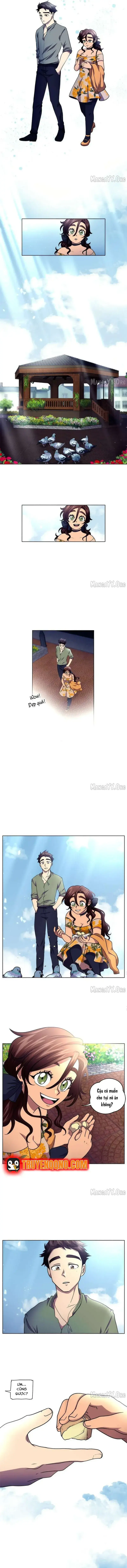 Roots Of The Heart Chapter 101 - Trang 12