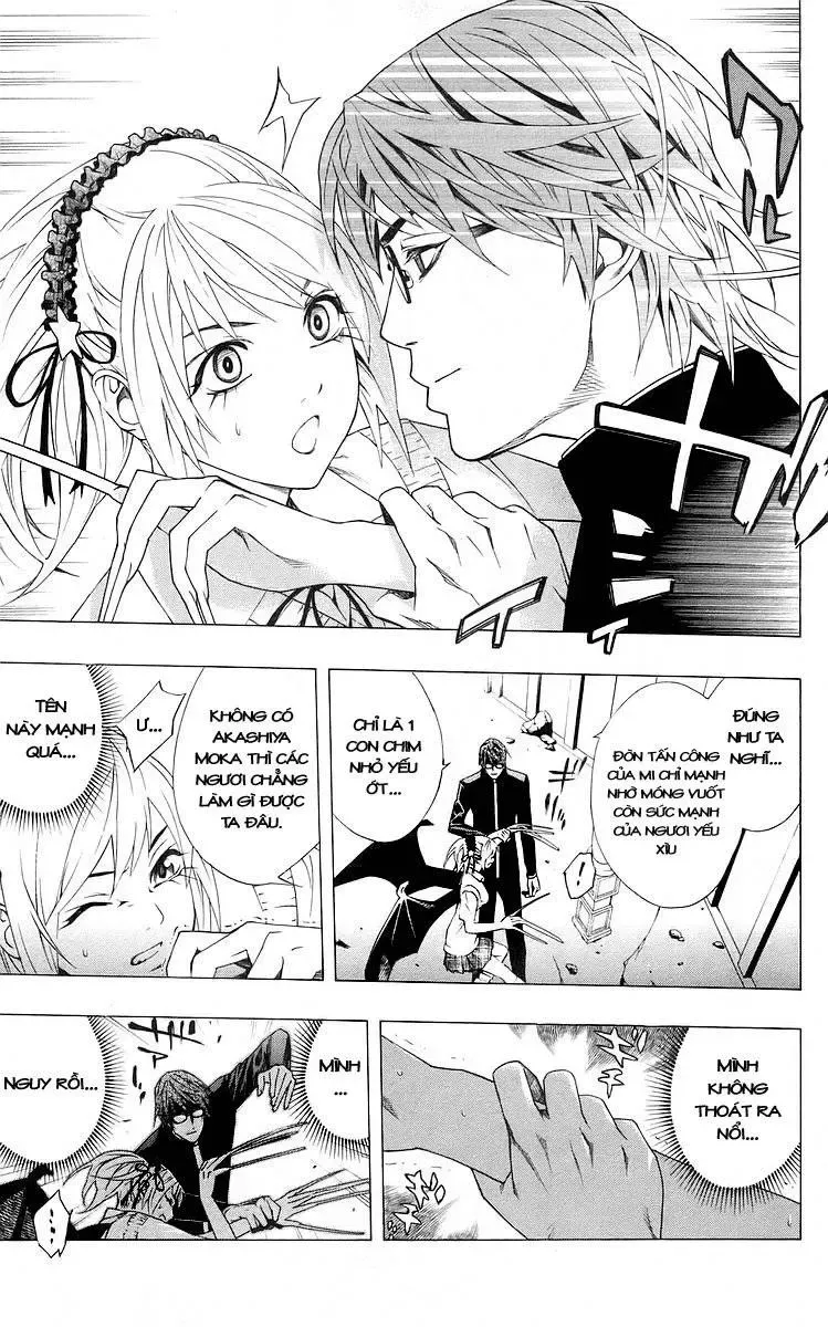 Rosario + Vampire Ss1 Chapter 31 - Trang 10