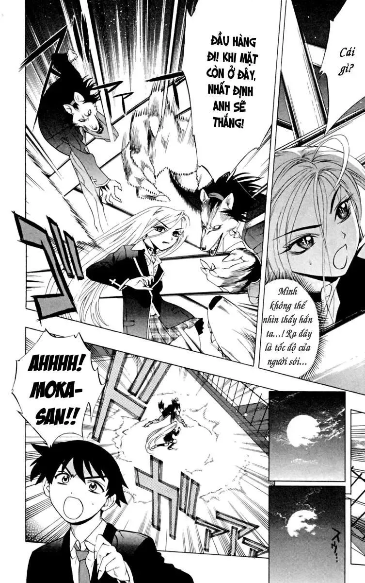 Rosario + Vampire Ss1 Chapter 4 - Trang 39