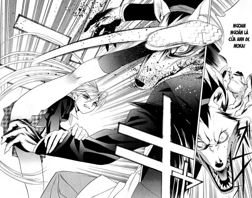 Rosario + Vampire Ss1 Chapter 4 - Trang 41