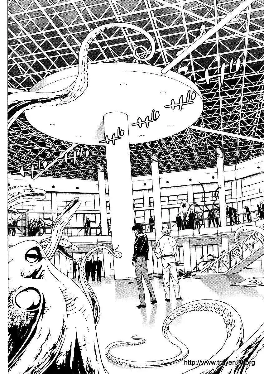Rosario + Vampire Ss2 Chapter 22 - Trang 12