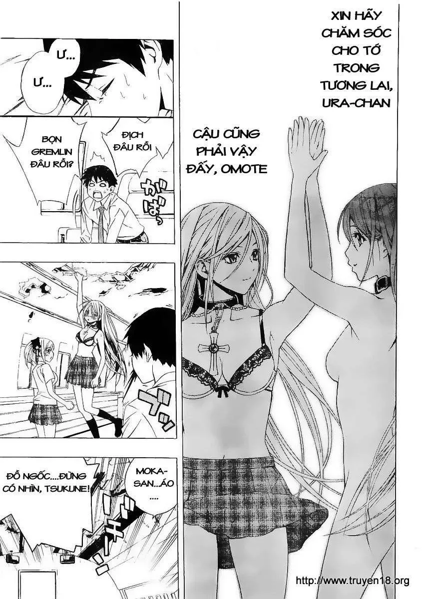 Rosario + Vampire Ss2 Chapter 27 - Trang 39
