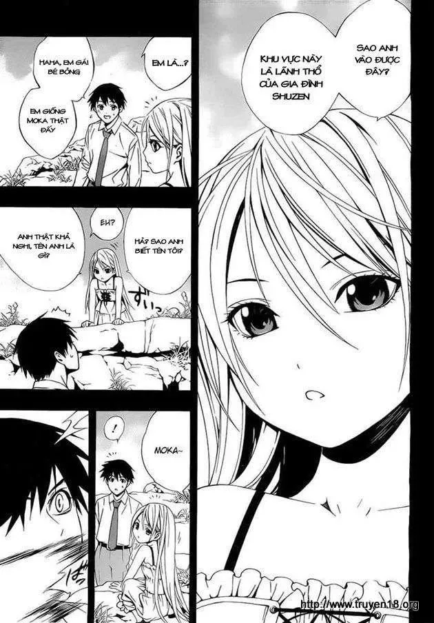 Rosario + Vampire Ss2 Chapter 29 - Trang 31