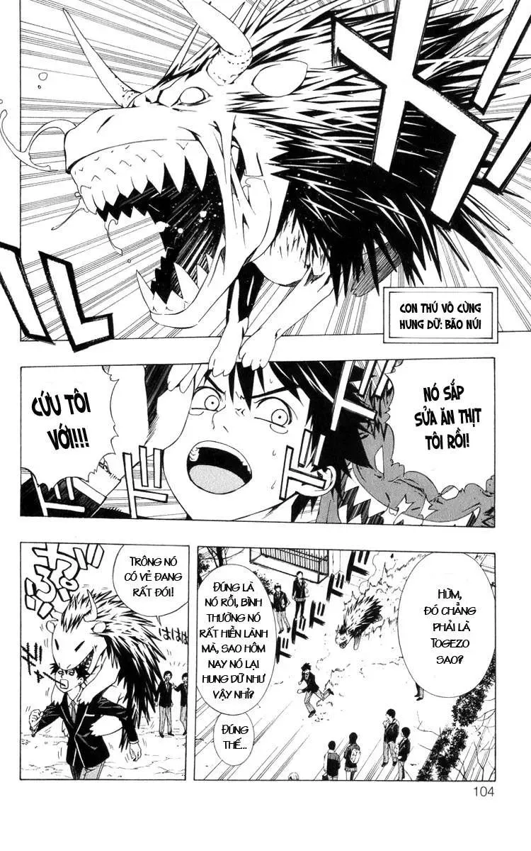 Rosario + Vampire Ss2 Chapter 3 - Trang 4