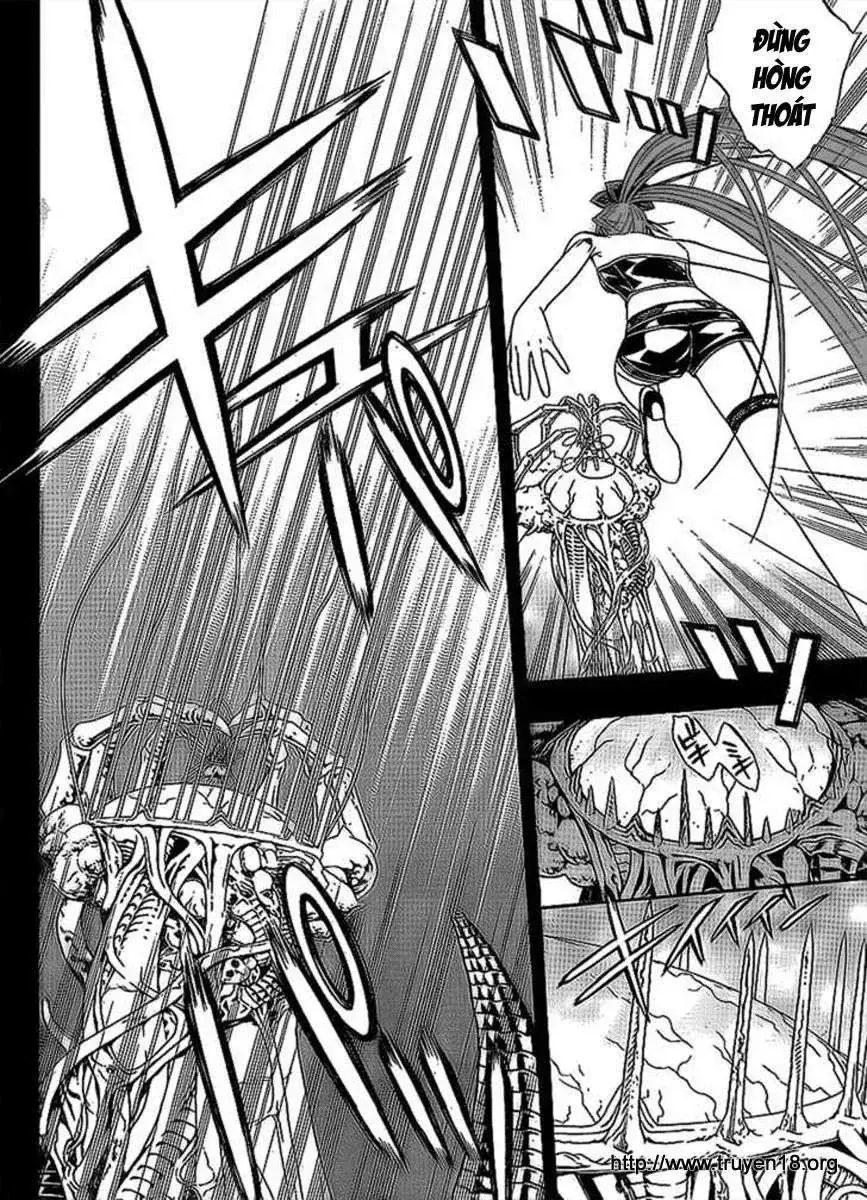 Rosario + Vampire Ss2 Chapter 33 - Trang 31