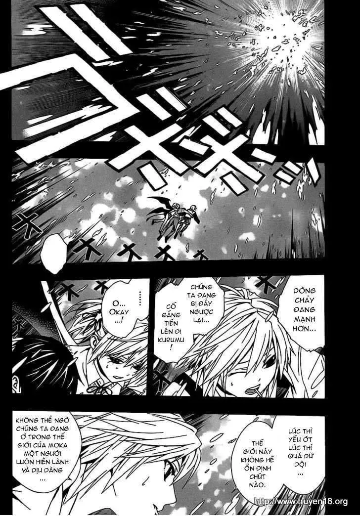 Rosario + Vampire Ss2 Chapter 36 - Trang 12