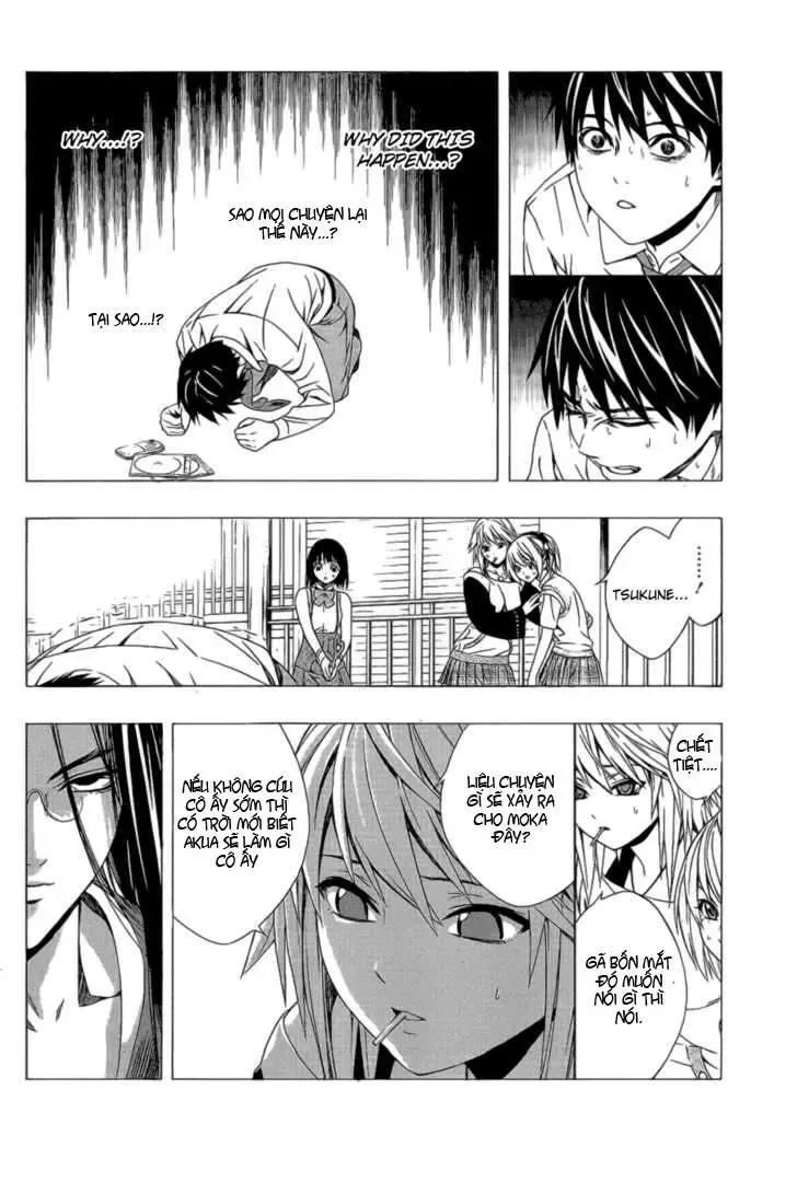 Rosario + Vampire Ss2 Chapter 38 - Trang 20