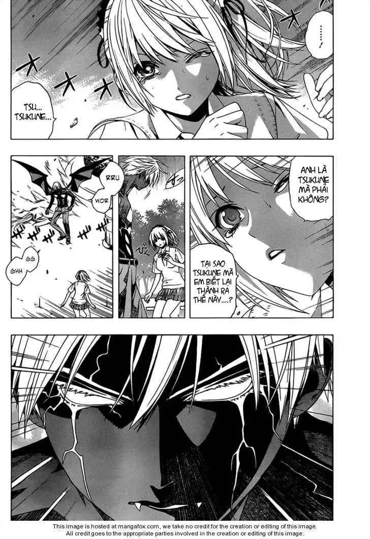 Rosario + Vampire Ss2 Chapter 41 - Trang 5