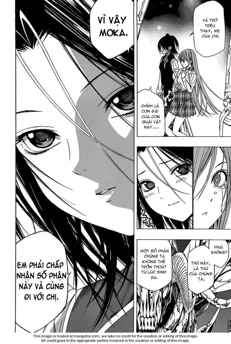 Rosario + Vampire Ss2 Chapter 42 - Trang 32