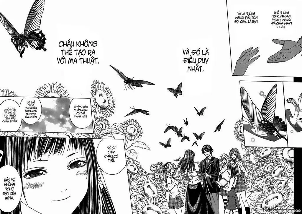Rosario + Vampire Ss2 Chapter 45 - Trang 20