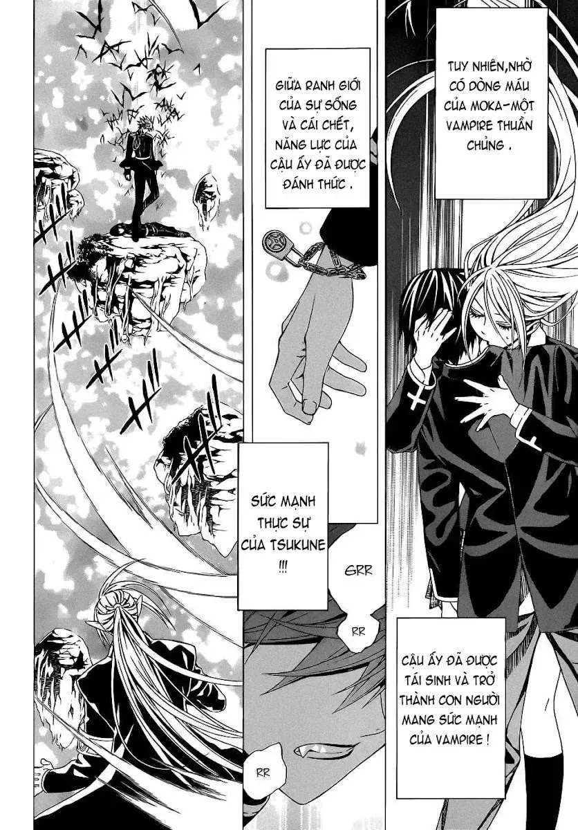 Rosario + Vampire Ss2 Chapter 52 - Trang 5