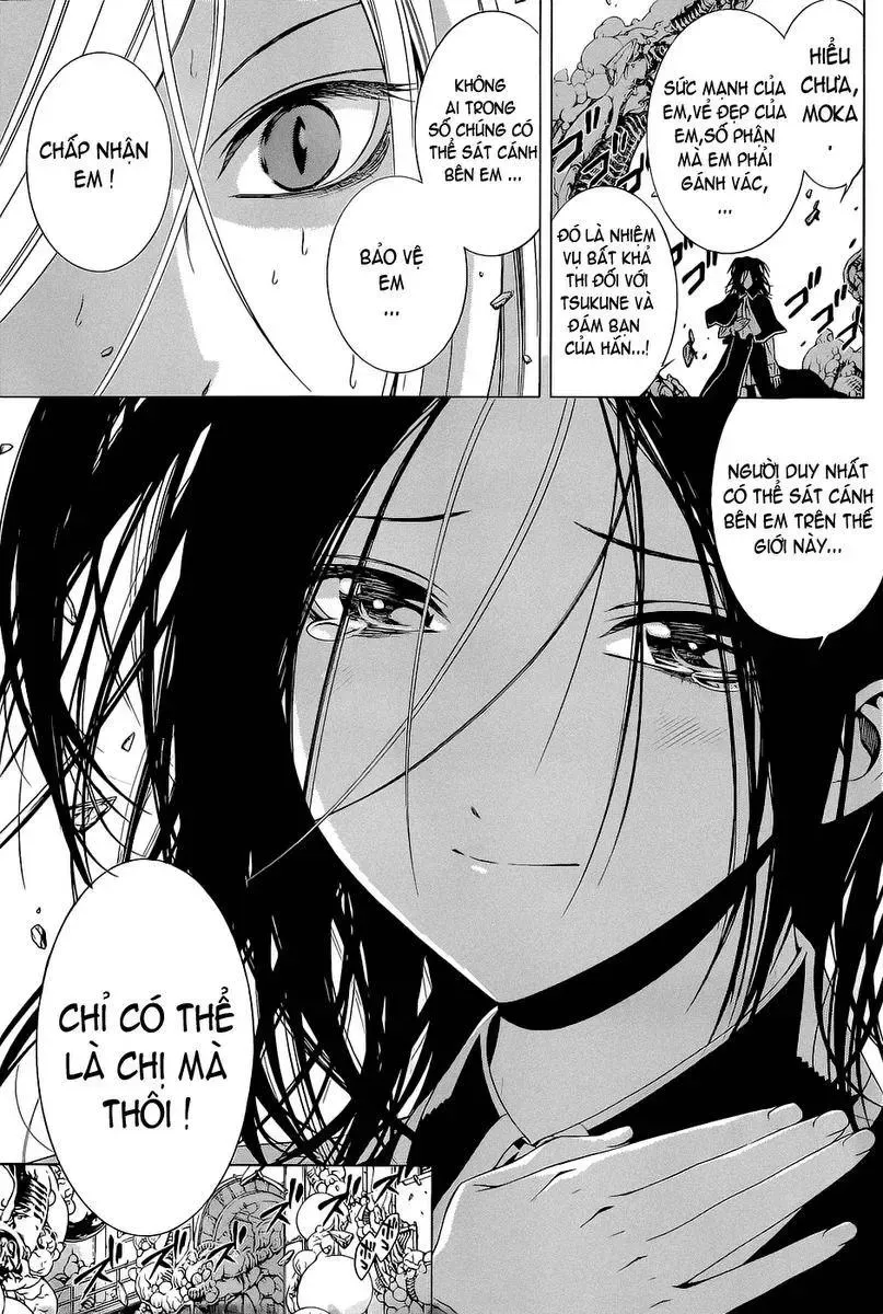 Rosario + Vampire Ss2 Chapter 54 - Trang 16